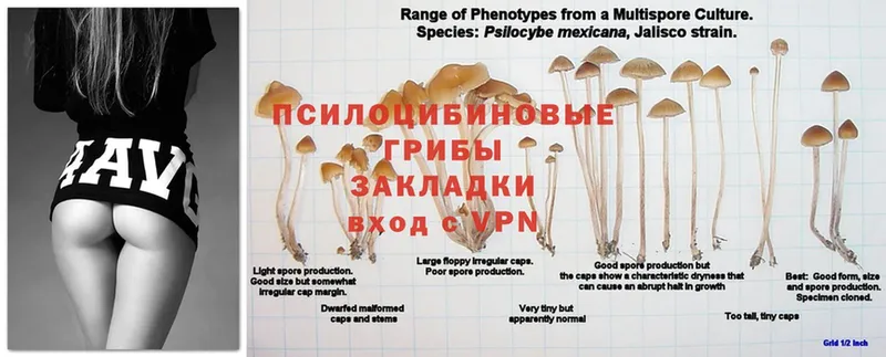 Псилоцибиновые грибы мухоморы  Азов 